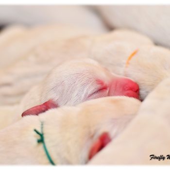 A2016-02-07_11-22-02