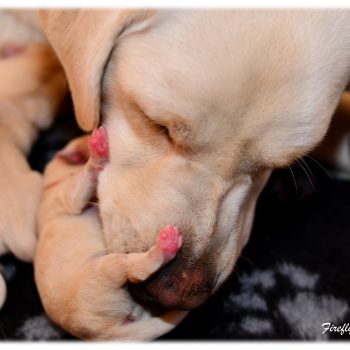 A2016-02-07_11-25-13