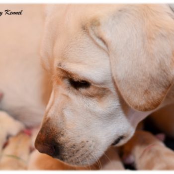 A2016-02-07_11-25-26