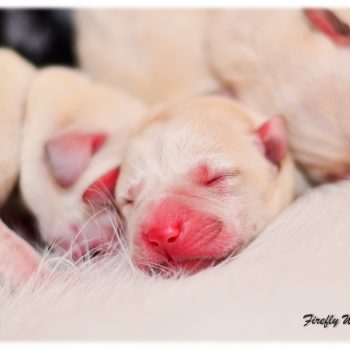 A2016-02-07_11-34-38