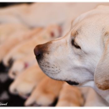 A2016-02-07_11-52-13