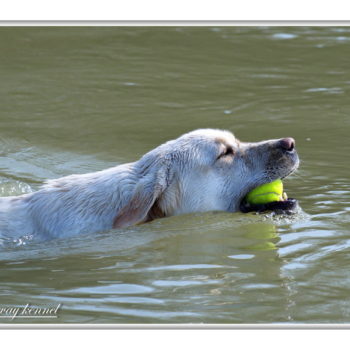 To the river with the girls