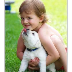 Dark Blue boy 33 days